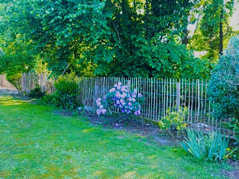 Ganivelle noisetier jardin