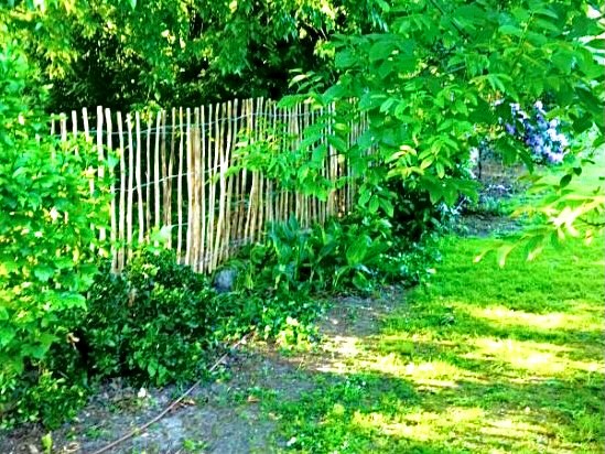 Ganivelle noisetier jardin