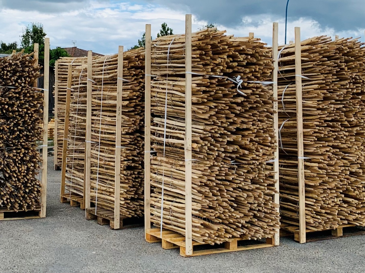 Ganivelle en noisetier