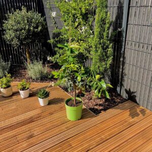 Lame de terrasse bazadaise sans nœud