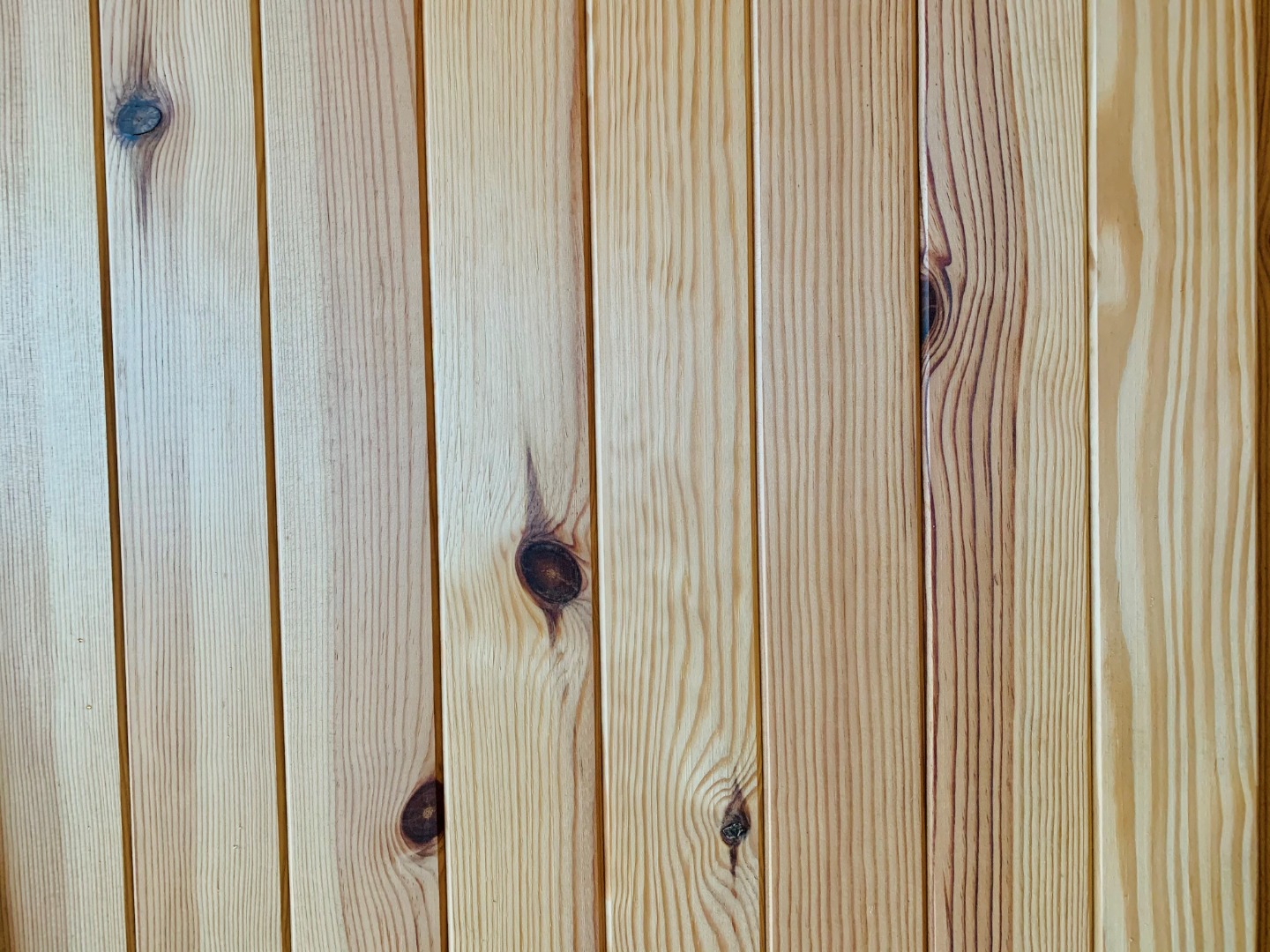 grain-d-orge-pn.