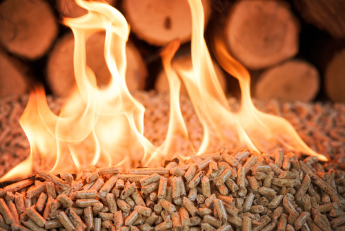 Pellet de bois