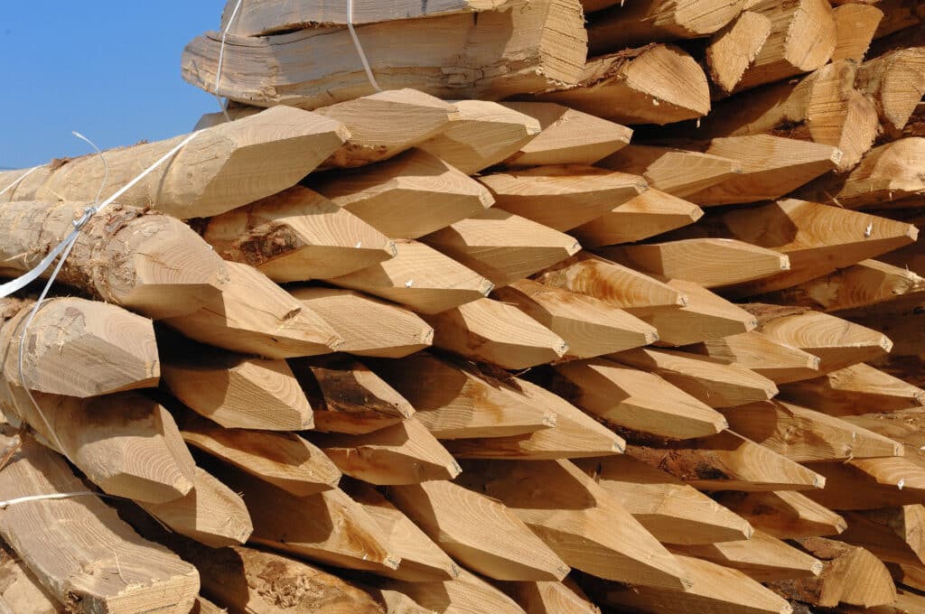 Grande pile de poteaux en bois clair, majoritairement pointus. Certains sont attachés par des sangles blanches sous un ciel bleu.
