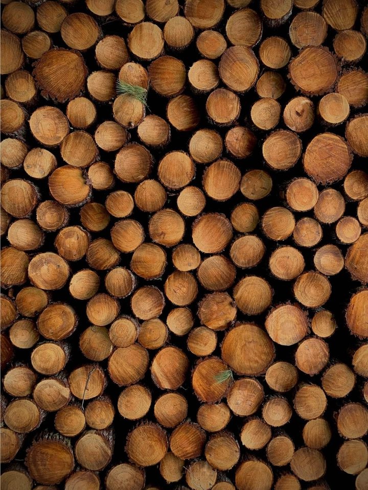 Rondins de Bois Empilés : Texture Chaleureuse et Coupe Parfaite Empilement serré de rondins de bois coupés, présentant des textures riches et des cernes visibles. Deux aiguilles de pin sont incrustées.